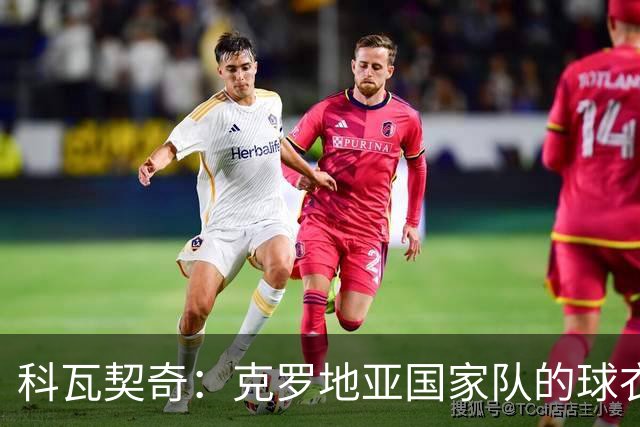 科瓦契奇：克罗地亚国家队的球衣，对我们而言是神圣的